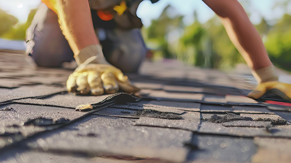 damaged-shingle-roof-repair-eugene-oregon